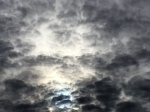 A Dying Wish