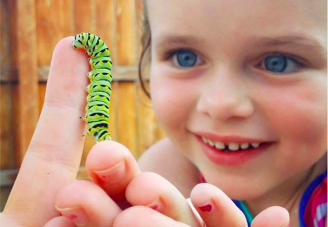 “Caterpillars” and “Unwavering”