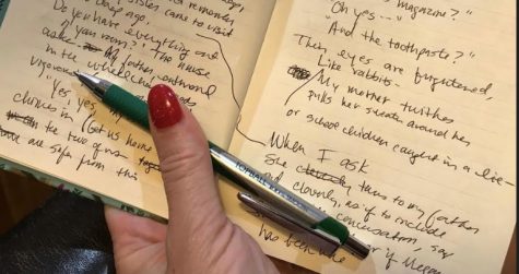 What Teacher-Writers Want