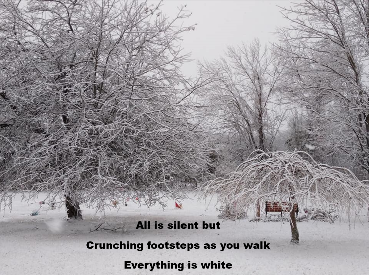 Haiku